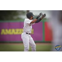 Leonardo Molina of the Charleston RiverDogs reacts after his two-run double