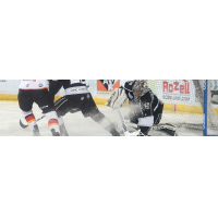 Manchester Monarchs goaltender Charles Williams