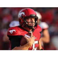 Calgary Stampeders quarterback Andrew Buckley