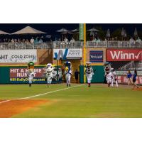 Military Mascots at a ensacola Blue Wahoos game