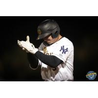 Dalton Blaser of the Charleston RiverDogs
