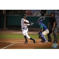 Leonardo Molina of the Charleston RiverDogs delivers the game-winning hit