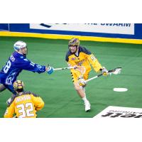Bryan Cole of the Georgia Swarm test the Rochester Knighthawks' defense