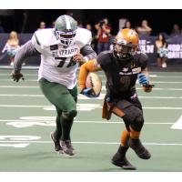 Arizona Rattlers attempt to outrun the Green Bay Blizzard