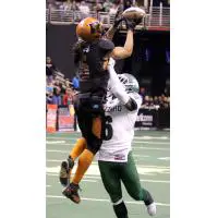 Arizona Rattlers make a catch over the Green Bay Blizzard defense