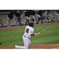Alex Castellanos of the Somerset Patriots