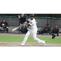 Jordany Valdespin of the Long Island Ducks swings away