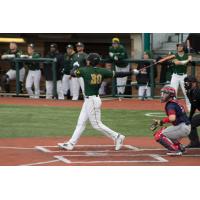 Wright State All-Time Career RBI leader Senior Gabe Snyder