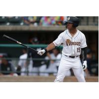 Charleston RiverDogs outfielder Dom Thompson-Williams