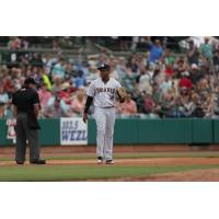 Dermis Garcia of the Charleston RiverDogs
