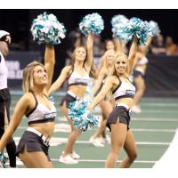 The Arizona Rattlers cheer team, the Sidewinders