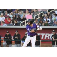 Albuquerque Isotopes outfielder Mike Tauchman waits for a pitch