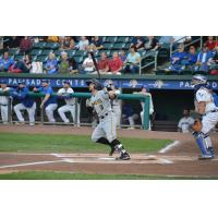 Sussex County Miners shortstop Jarred Mederos