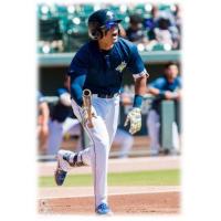 Edgardo Fermin of the Columbia Fireflies
