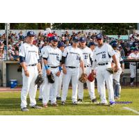 Victoria HarbourCats