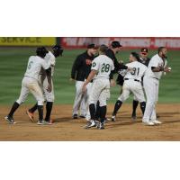 Long Island Ducks celebrate waddle-off win
