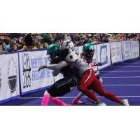 Jacksonville Sharks vs. the Massachusetts Pirates
