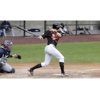 Alec Sole of the Long Island Ducks at bat
