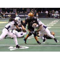 Arizona Rattlers QB Jeff Ziemba scrambles against the Nebraska Danger