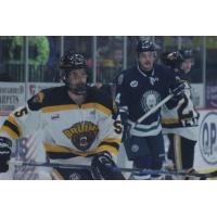 Austin Bruins defenseman Matt Eller