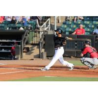 Jackson Generals vs. the Montgomery Biscuits