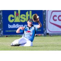 Colton Peha of the Victoria HarbourCats makes a sliding catch