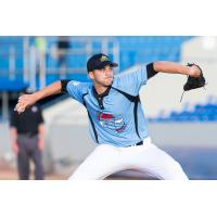 Victoria HarbourCats pitcher Alejandro Ortega Lopez