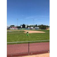 Protective Netting at Centennial Field, Home of the Vermont Lake Monsters