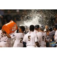 Charleston RiverDogs celebrate walk off win