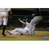 Chris Hess of the Charleston RiverDogs slides home with the winning run