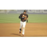 Long Island Ducks outfielder Daniel Fields