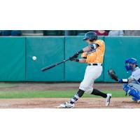 Dominic Miroglio of the Visalia Rawhide