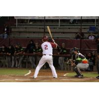 Wisconsin Rapids Rafters in action