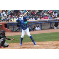 Seuly Matias of the Lexington Legends at the plate
