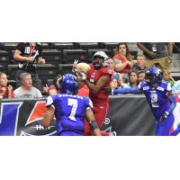 Chris Gilchrist of the Jacksonville Sharks catches the game-winning touchdown
