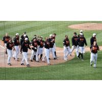 Long Island Ducks walk off with a win