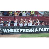 Wisconsin Rapids Rafters cheer on the team