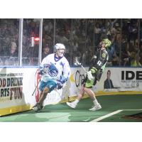 Graeme Hossack of the Rochester Knighthawks celebrates a goal