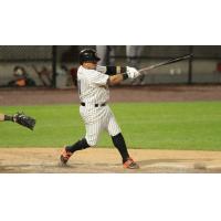 Ramon Cabrera of the Long Island Ducks