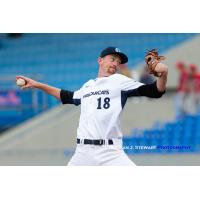Victoria HarbourCats pitcher Sam Brunnig