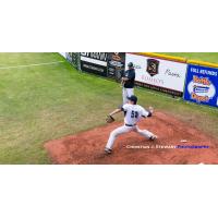 Victoria HarbourCats reliever Tyler Yoshihara warms up