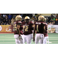Maine Mammoths in action