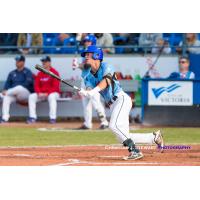 Adam Imwalle of the Victoria HarbourCats