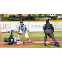 Victoria HarbourCats shortstop Adam Imwalle looks for a call