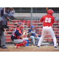Geneva Red Wings outfielder Langston Livingston awaits a pitch