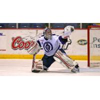 Goaltender Philipp Grubauer with the Reading Royals