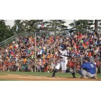 St. Cloud Rox at the plate