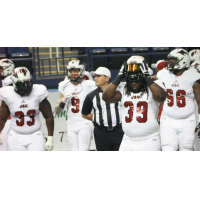 Jacksonville Sharks enter the field