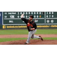Long Island Ducks pitcher Matt Larkins