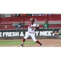 Wisconsin Rapids Rapids outfielder Steven Rivas